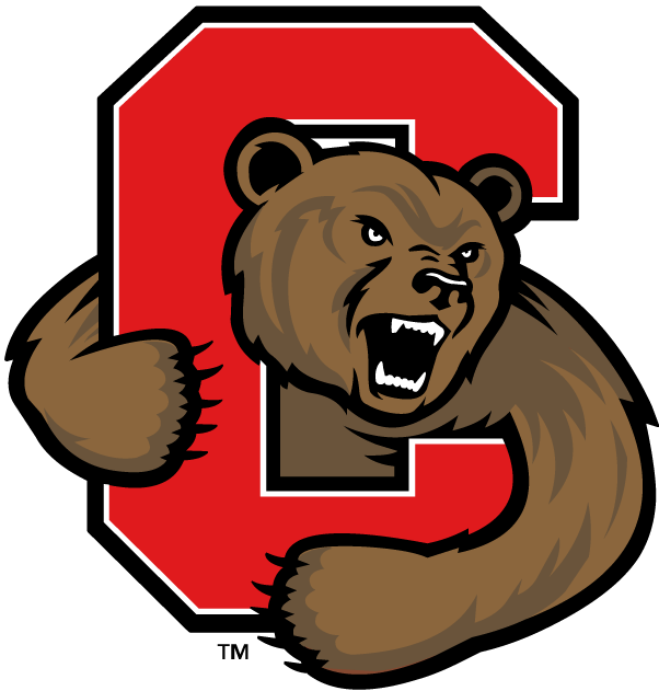 Cornell Big Red 2002-Pres Primary Logo diy iron on heat transfer